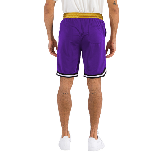 Men's Active Basketball Sports Shorts Purple and Gold - Ash and Chrome Clothing Co LLC