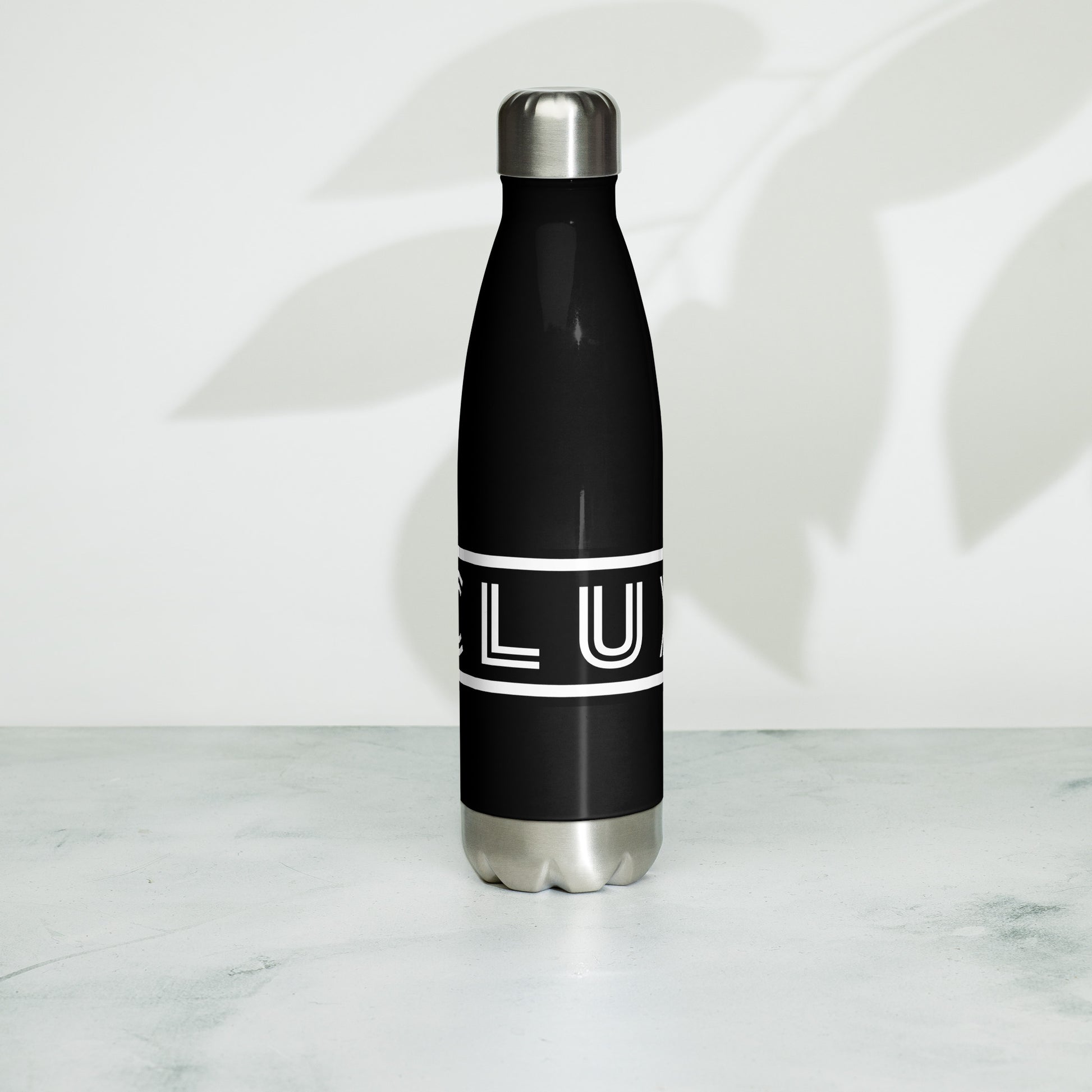 ACLUXE Sport Stainless Steel Screw Top Bottle - Ash and Chrome Clothing Co LLC